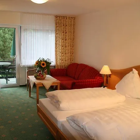 Hessenhof 4* Winterberg