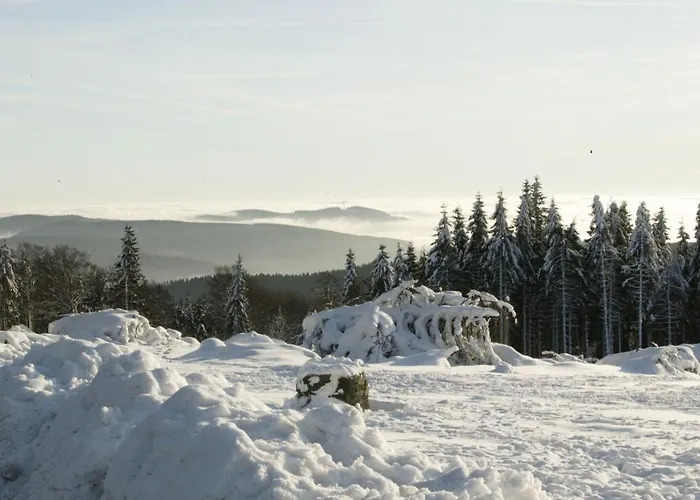 Hessenhof 4* Winterberg